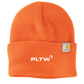Carhartt Watch Cap 2.0