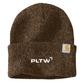 Carhartt Watch Cap 2.0