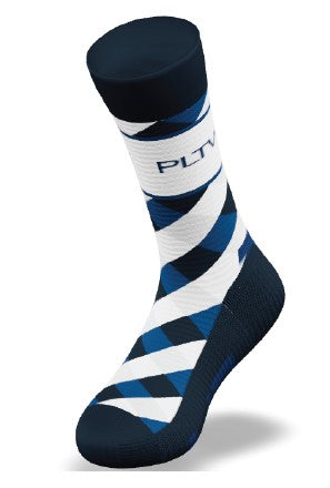 PLTW Custom Socks